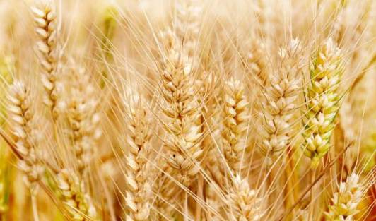 浅谈美国俄克拉荷马州的经济发展状况