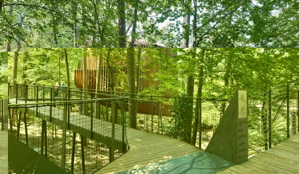 The Evans Tree House