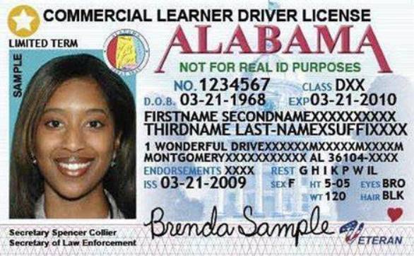  阿拉巴马州驾照分类说明